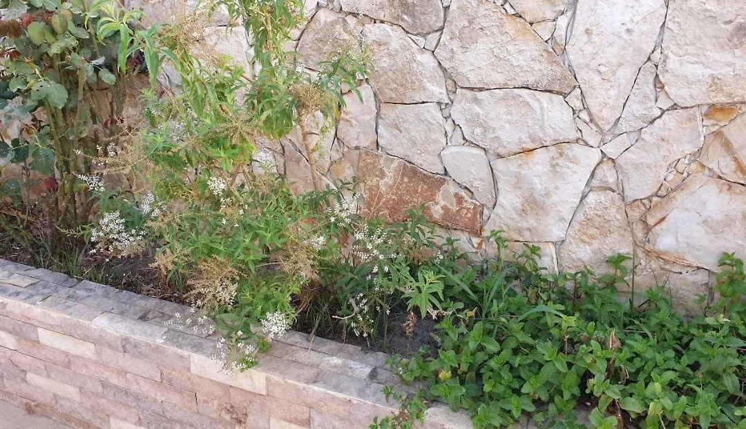 Dona Ana Guesthouse-1