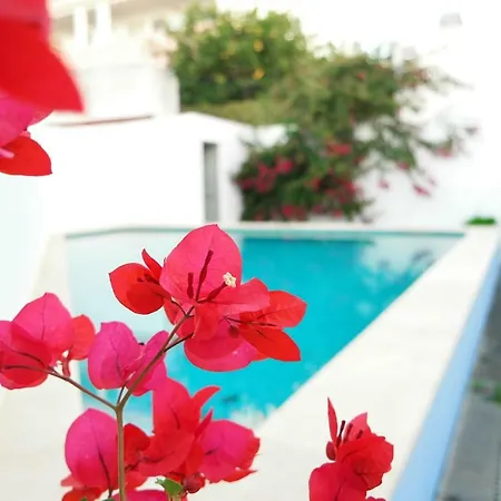 Vila Do Sol Guesthouse-3